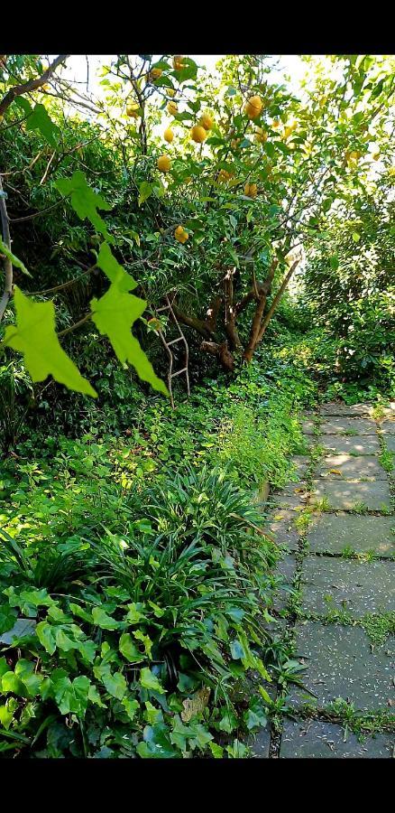 Quiet House Garden Naples-Pompei-Sorrento Villa Trecase Екстериор снимка