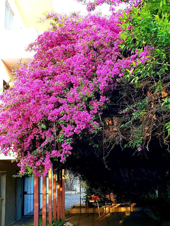 Quiet House Garden Naples-Pompei-Sorrento Villa Trecase Екстериор снимка